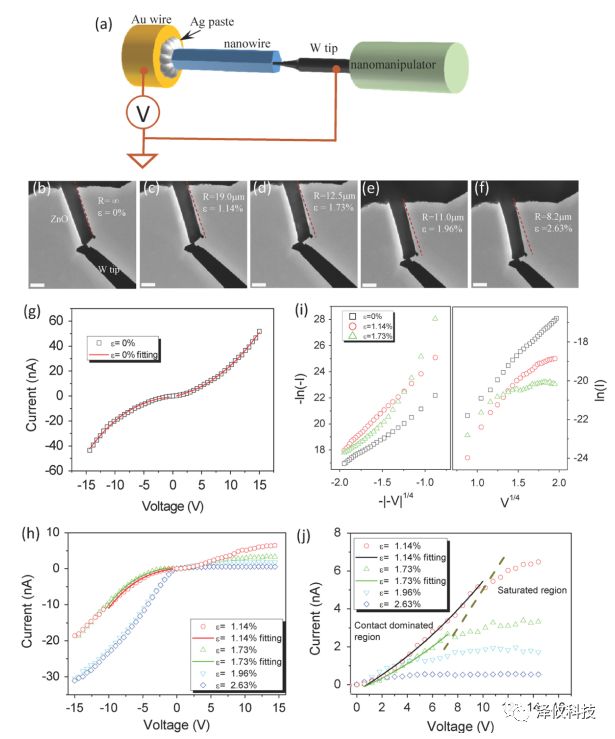 原位樣品桿實驗 原位樣品桿實驗