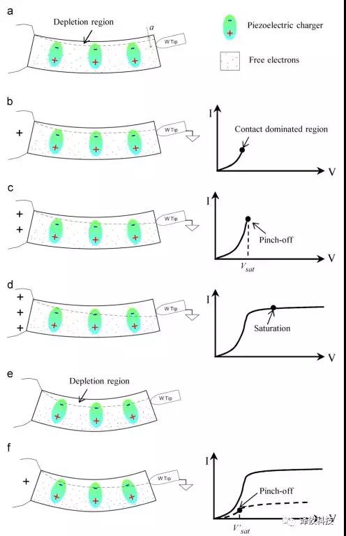 原位樣品桿理論模型實驗結(jié)果的支持