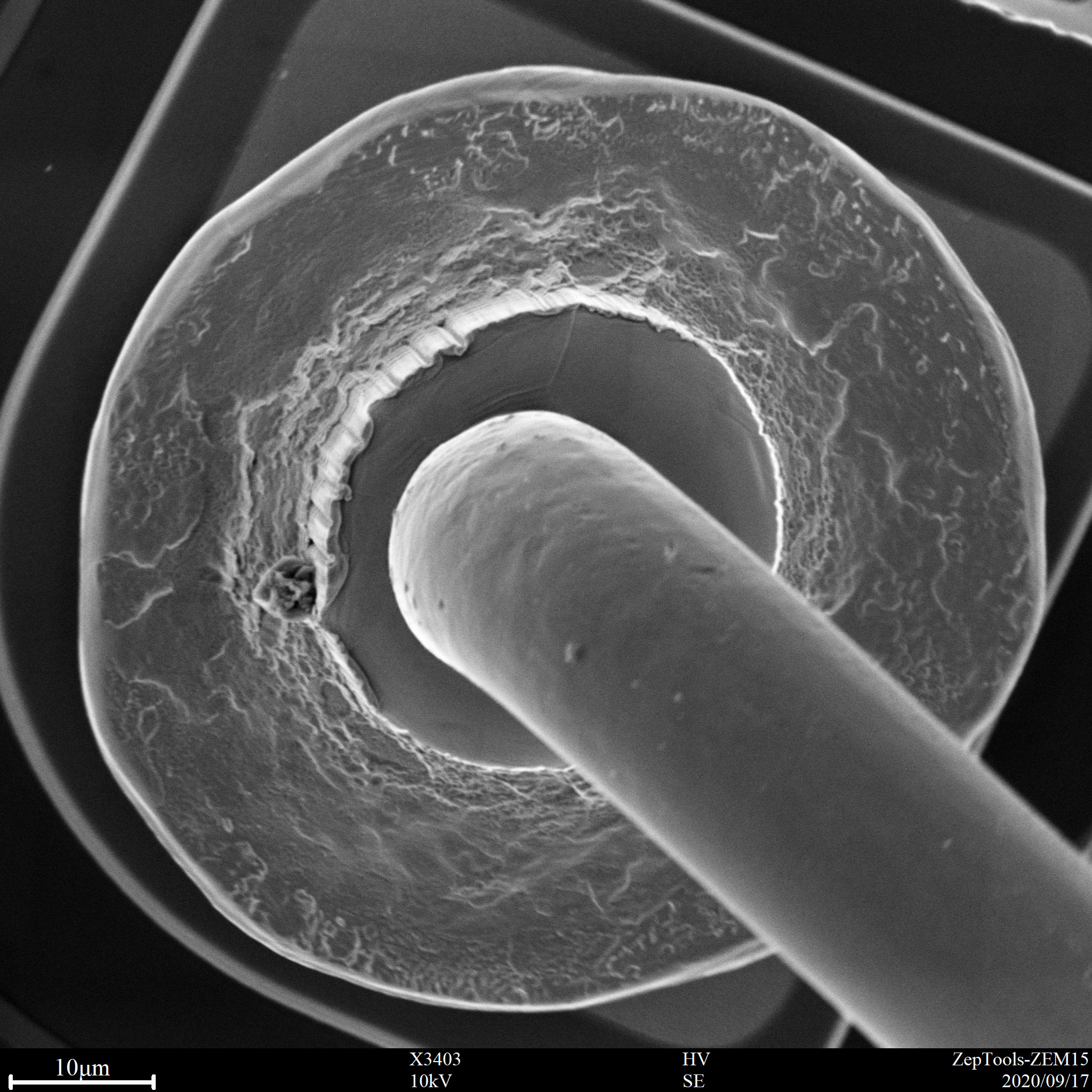 臺式掃描電鏡下半導體焊點(會議現場拍攝) 臺式掃描電鏡下半導體焊點(會議現場拍攝)