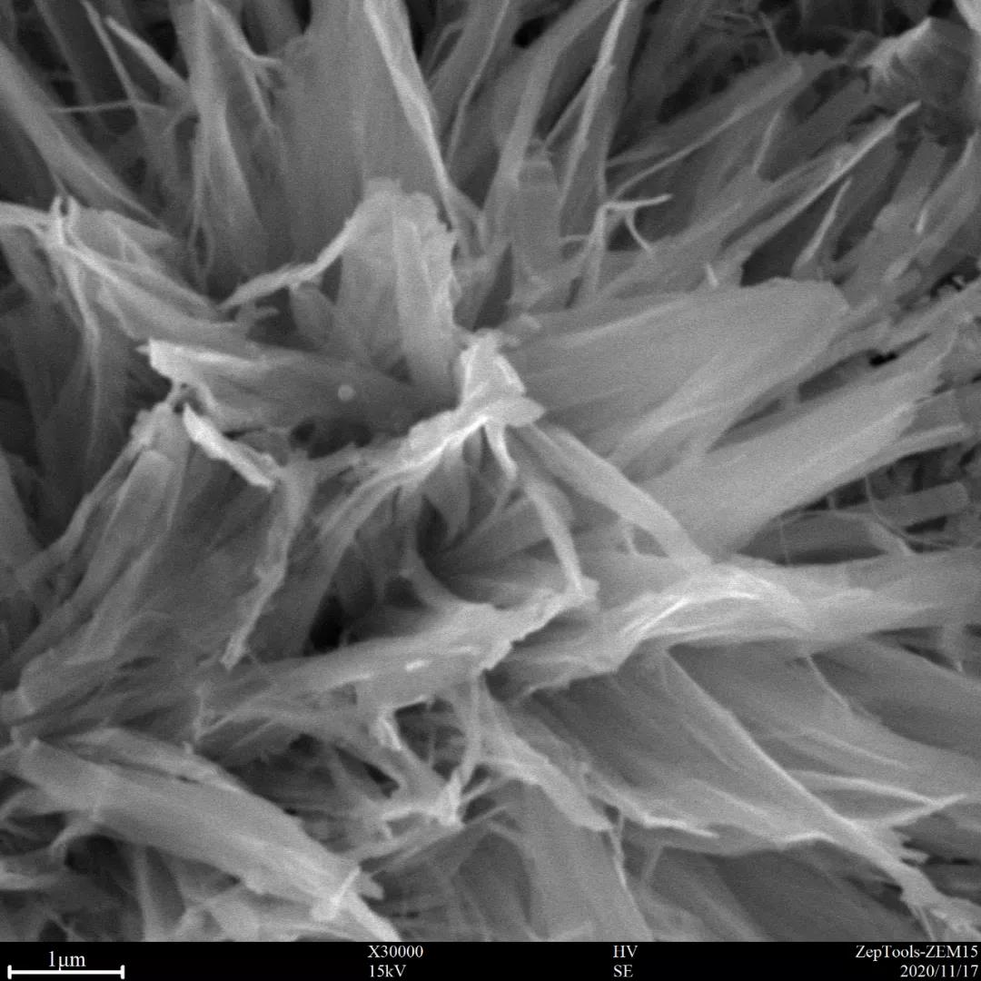 臺式掃描電鏡3萬倍的氧化物樣品 臺式掃描電鏡3萬倍的氧化物樣品