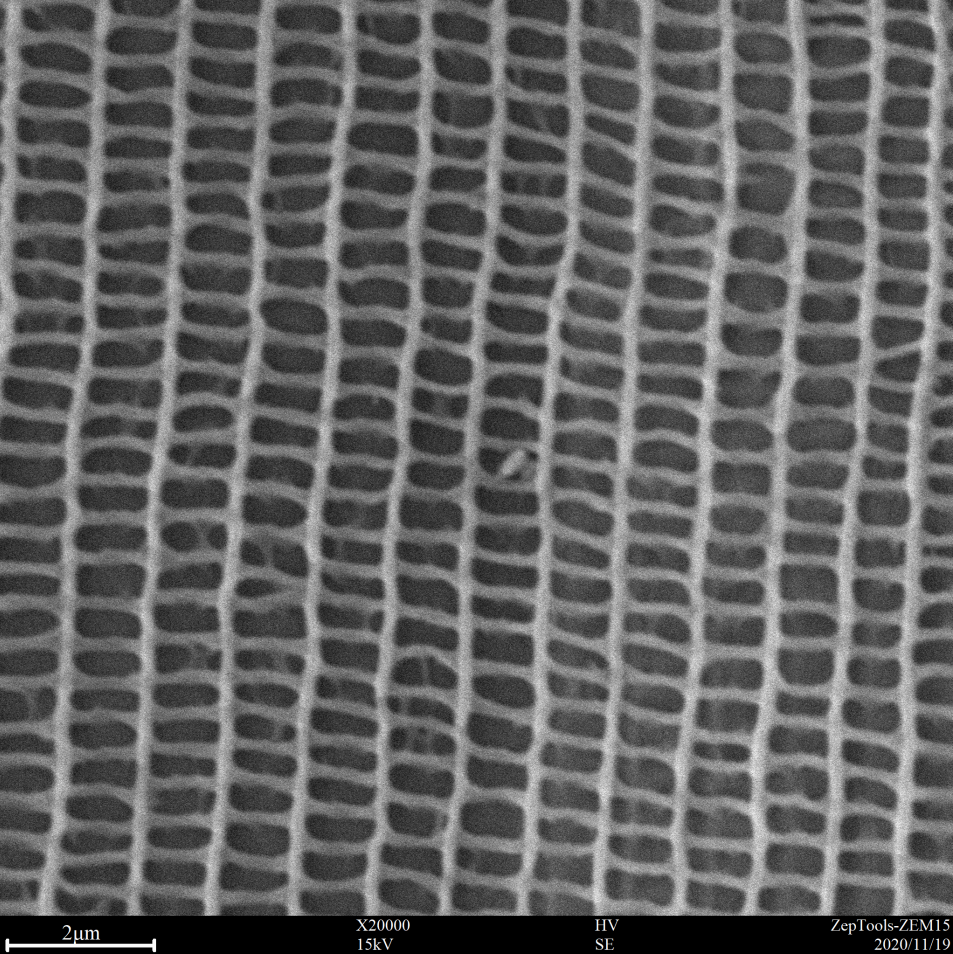 臺式掃描電鏡20000倍下的飛蛾翅膀 臺式掃描電鏡20000倍下的飛蛾翅膀