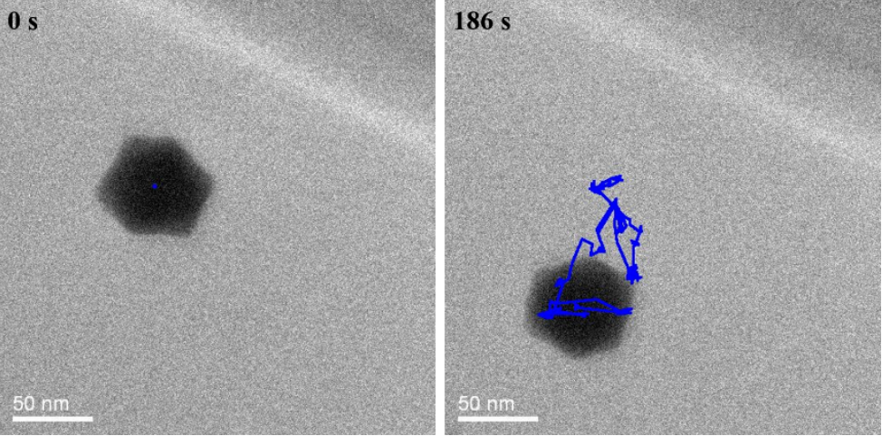 原位液體樣品桿測試水溶液 原位液體樣品桿測試水溶液