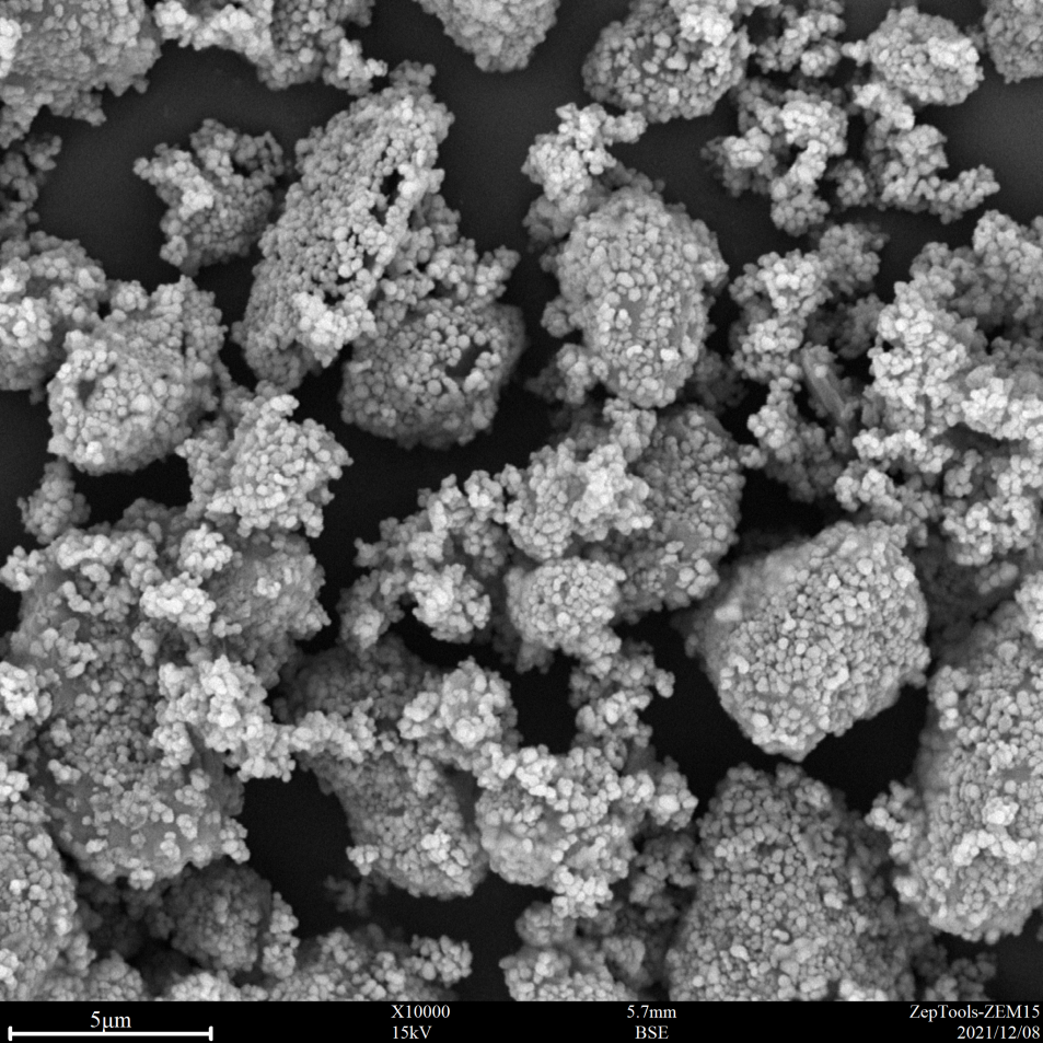 圖2 樣品噴金后ZEM15臺式掃描電鏡成像 圖2 樣品噴金后ZEM15臺式掃描電鏡成像