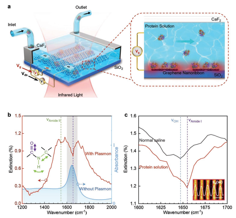 Adv. Mater.:國家納米中心利用紅外光譜原位識別液體中的納米級生物分子(圖4) 圖3 可調諧石墨烯等離激元增強紅外光譜平臺.png