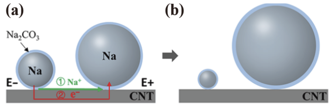 圖3 電化學奧斯瓦爾德熟化路徑1 圖3 電化學奧斯瓦爾德熟化路徑1