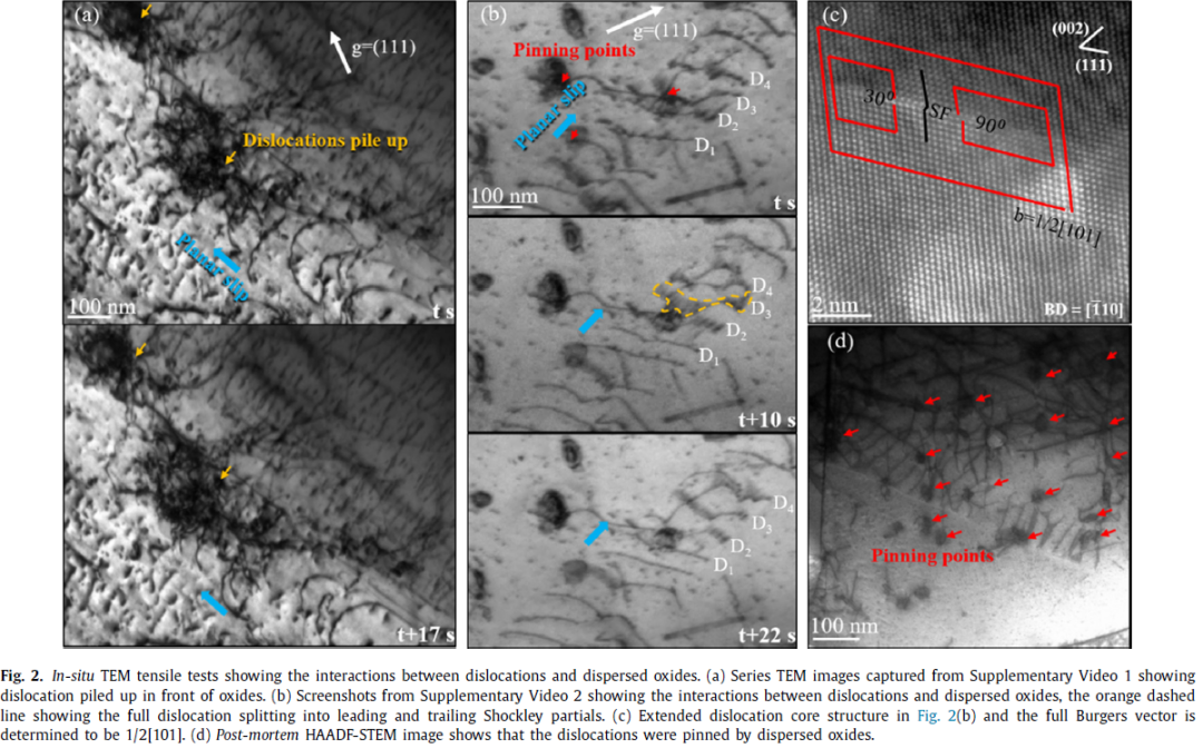 圖2 CrCoNi-O 合金原位拉伸下的微觀結(jié)構(gòu)表征.png 圖2 CrCoNi-O 合金原位拉伸下的微觀結(jié)構(gòu)表征.png