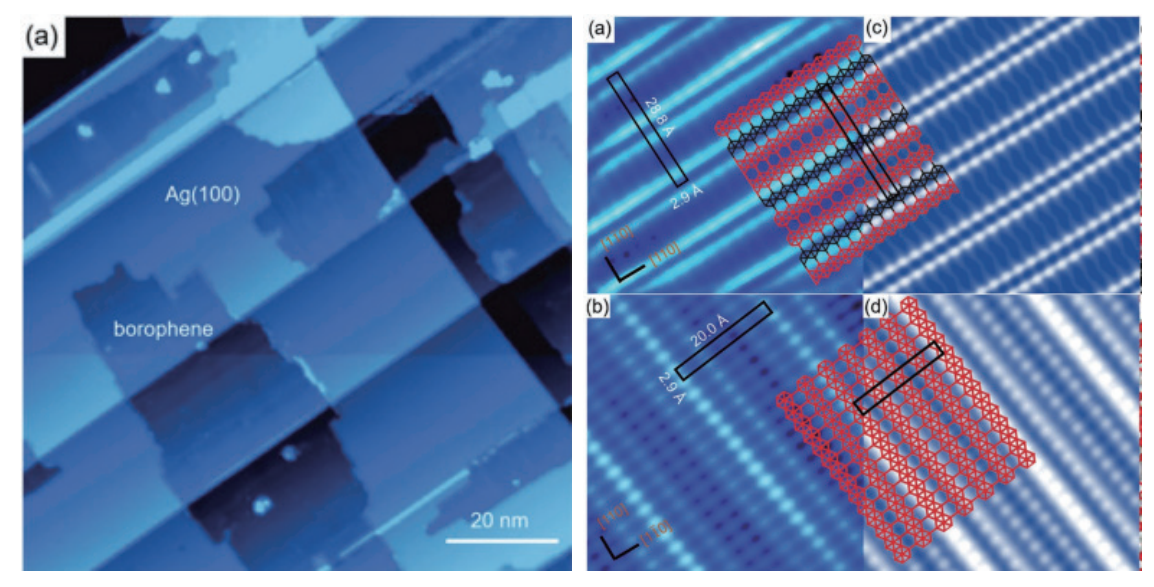 銀上的單層硼烯。
