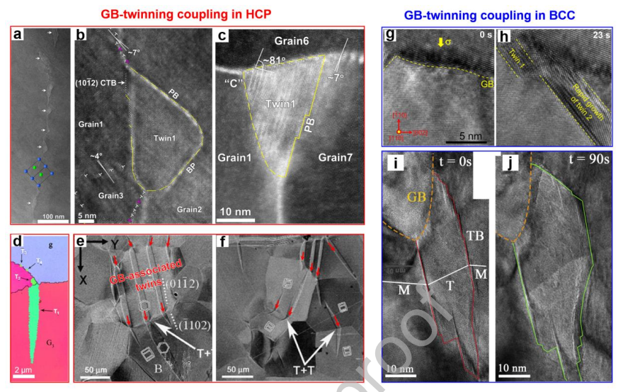 晶界變形與孿晶在其他金屬系統中的耦合 晶界變形與孿晶在其他金屬系統中的耦合