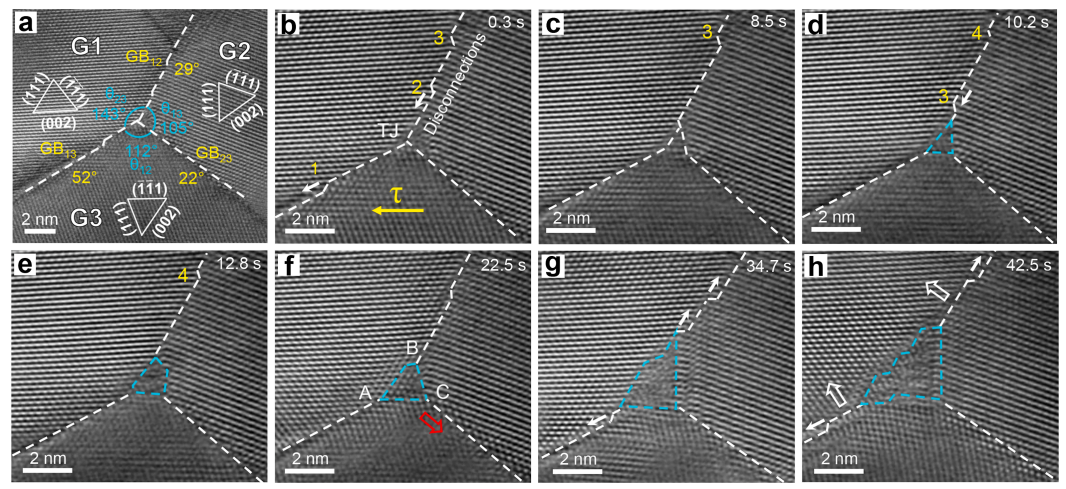 三叉晶界動態重構的原位觀測 三叉晶界動態重構的原位觀測