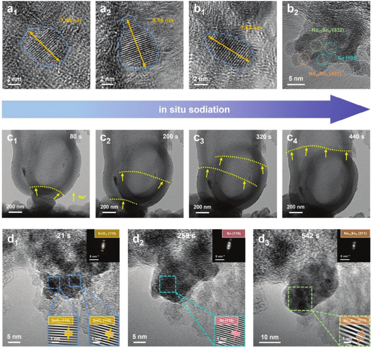 澤攸科技原位TEM 澤攸科技原位TEM