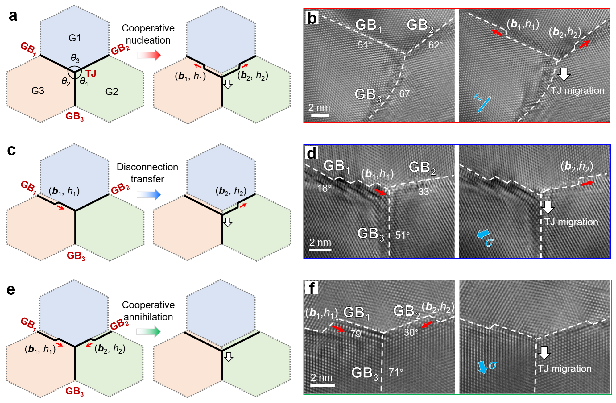 通過鄰近晶界的失配位錯(cuò)動(dòng)力學(xué)實(shí)現(xiàn)穩(wěn)態(tài)TJ遷移 通過鄰近晶界的失配位錯(cuò)動(dòng)力學(xué)實(shí)現(xiàn)穩(wěn)態(tài)TJ遷移