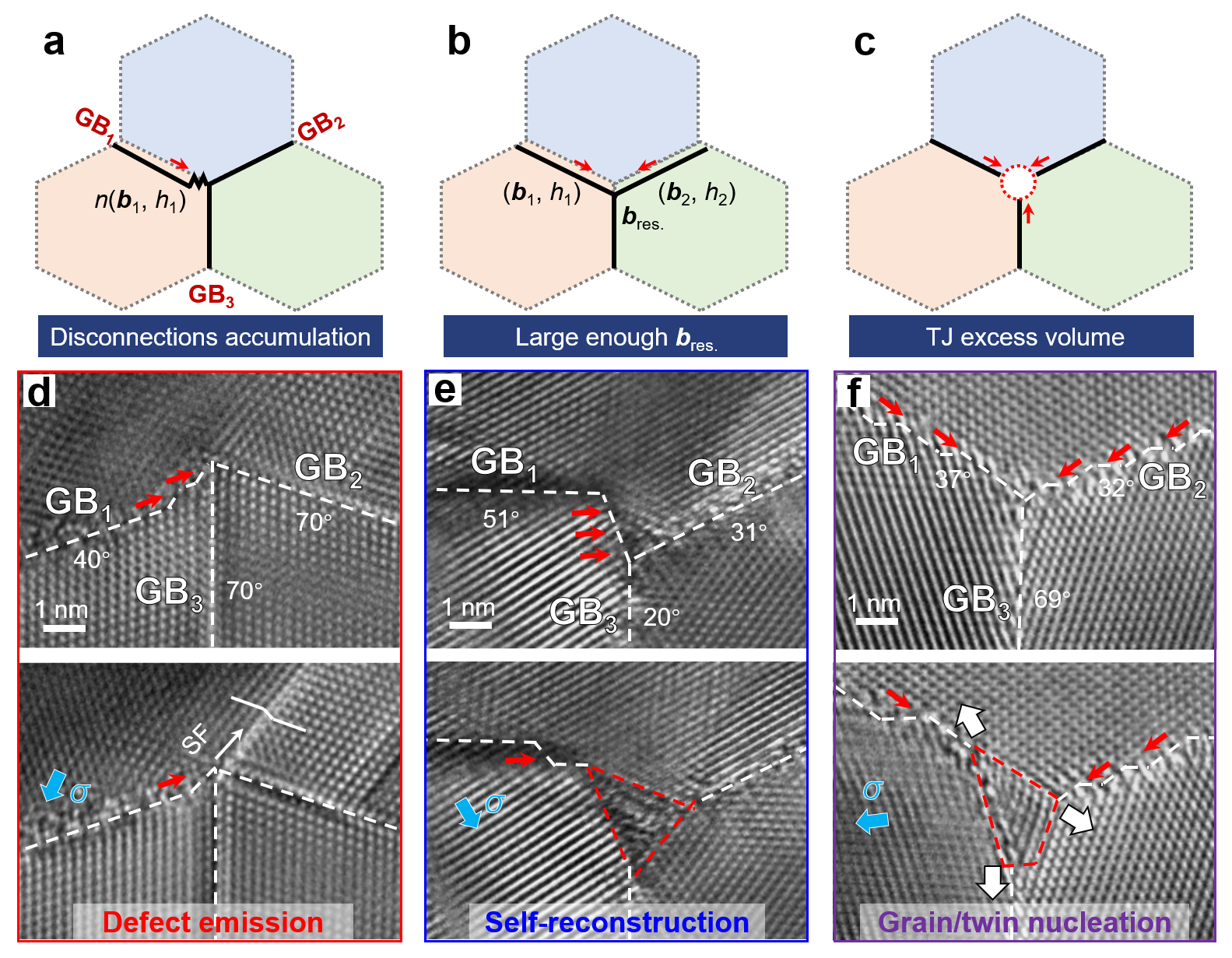 失配位錯(cuò)介導(dǎo)的TJ動(dòng)力學(xué)非保守模式 失配位錯(cuò)介導(dǎo)的TJ動(dòng)力學(xué)非保守模式