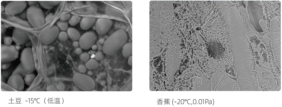 電子顯微鏡技術 電子顯微鏡技術