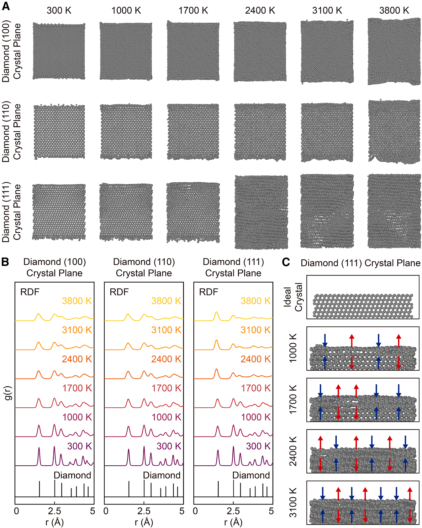 澤攸科技原位TEM 澤攸科技原位TEM