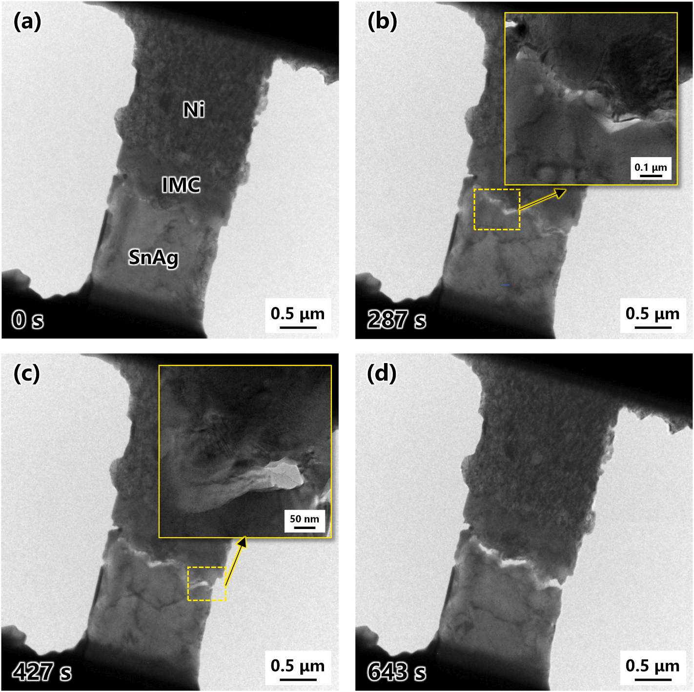 澤攸科技原位TEM