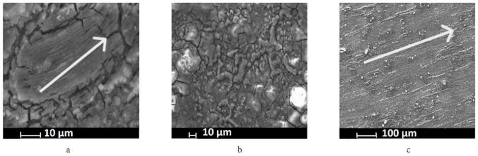 澤攸科技ZEM系列掃描電鏡 澤攸科技ZEM系列掃描電鏡