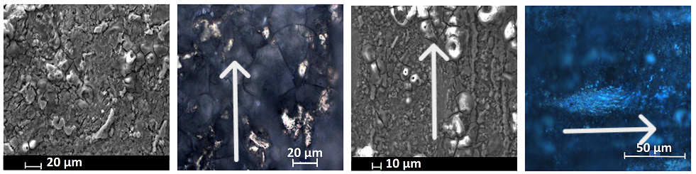 澤攸科技ZEM系列掃描電鏡 澤攸科技ZEM系列掃描電鏡