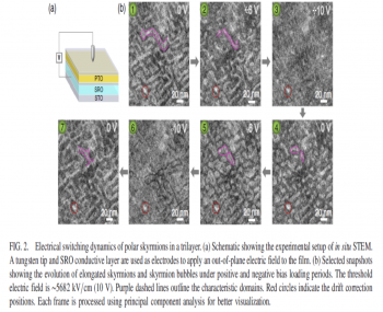 Physical Review Letters：北京大學(xué)利用原位TEM揭示電場下