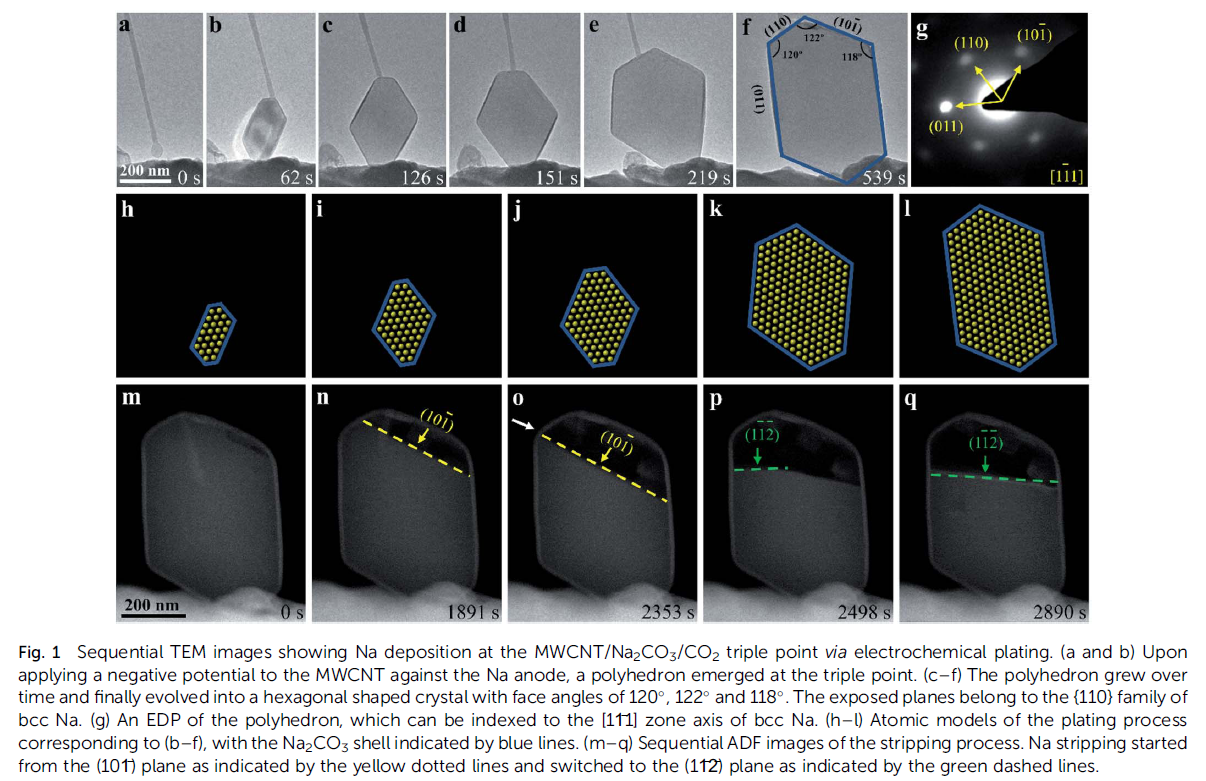 燕山大學(xué):鈉金屬沉積/剝離動力學(xué)過程的原位觀察(圖2) 圖 原位充放電2.png